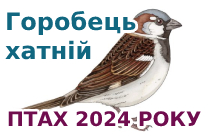 Птах року 2024 року в Україні - Горобець хатній