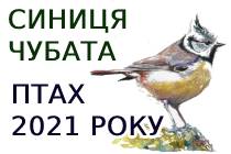 Птах року 2021 року в Україні -  Синиця чубата